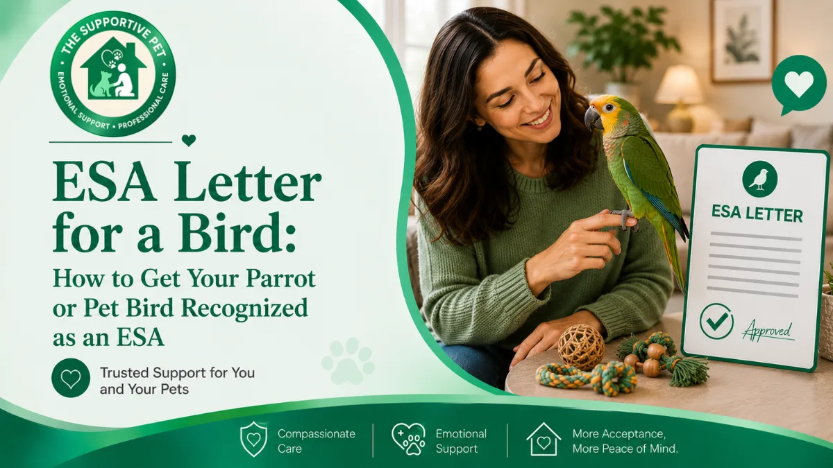 ESA Letter for a Bird: How to Get Your Parrot or Pet Bird Recognized as an ESA
